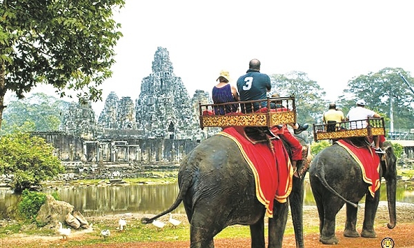 Bảo vệ voi và kiến trúc cổ ở Angkor Wat